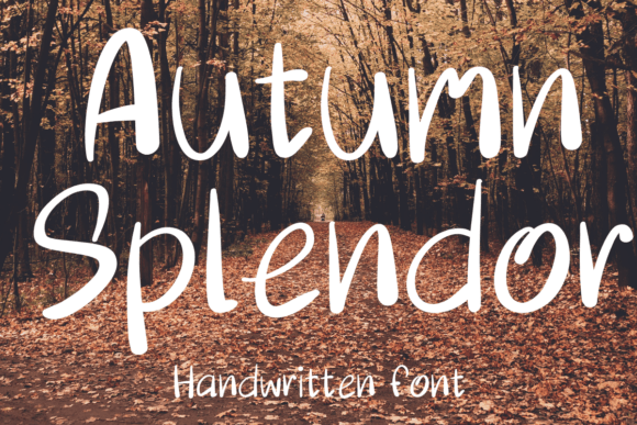 Abigail Font - Featured Image