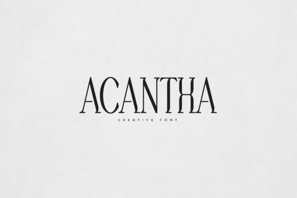 Acantha Font - Featured Image