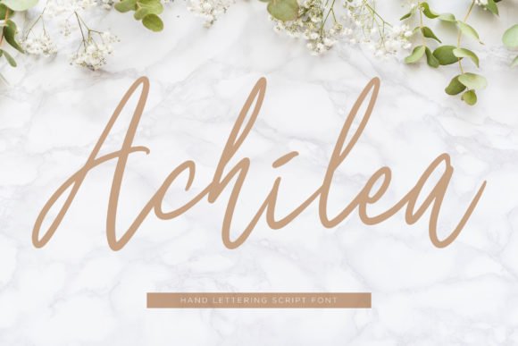 Achilea Font - Featured Image