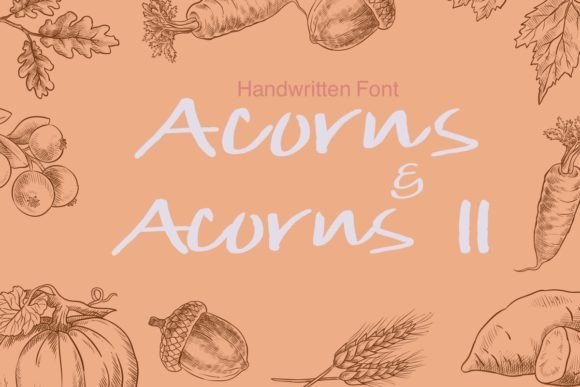 Acorns Font - Featured Image