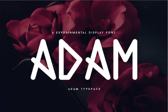 Adam Font - Featured Image