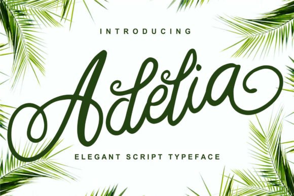 Adelia Font - Featured Image