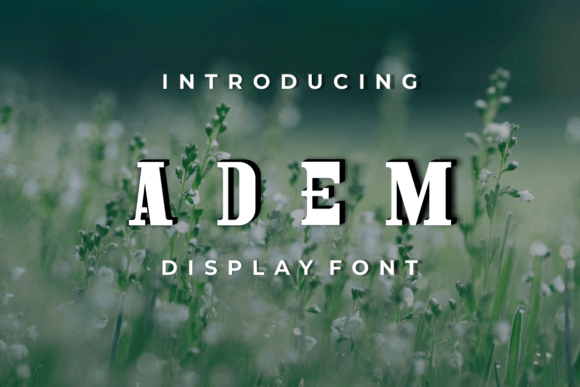 Adem Font - Featured Image