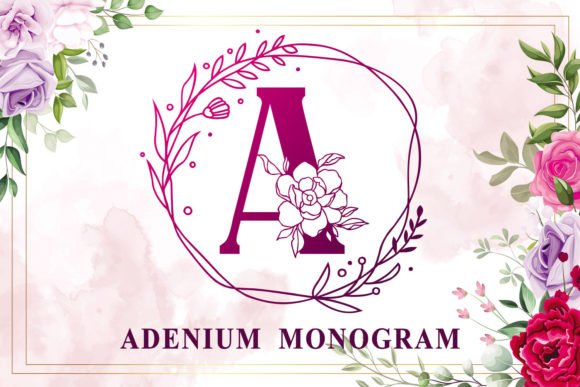 Adenium Monogram Font - Featured Image
