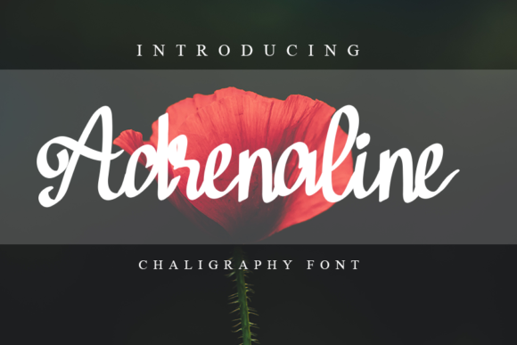 Adrenaline Font - Featured Image