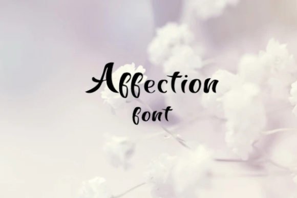 Affection Font - Featured Image
