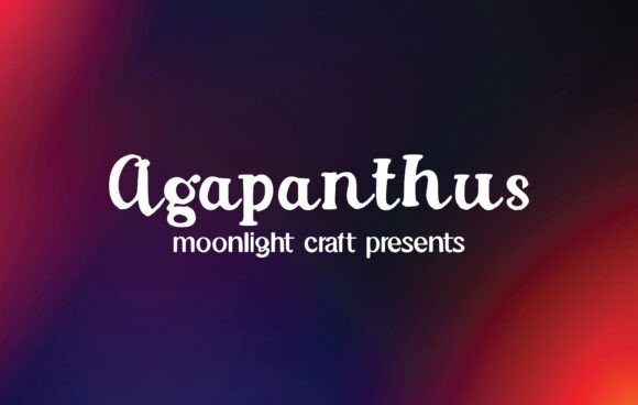 Agapanthus Font - Featured Image