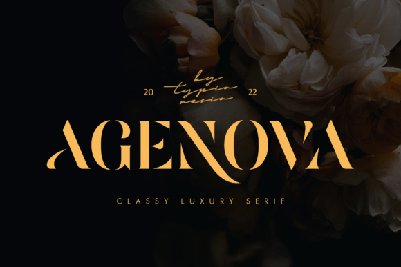 Agenova Font - Featured Image