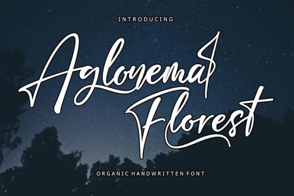 Aglonema Florest Font - Featured Image