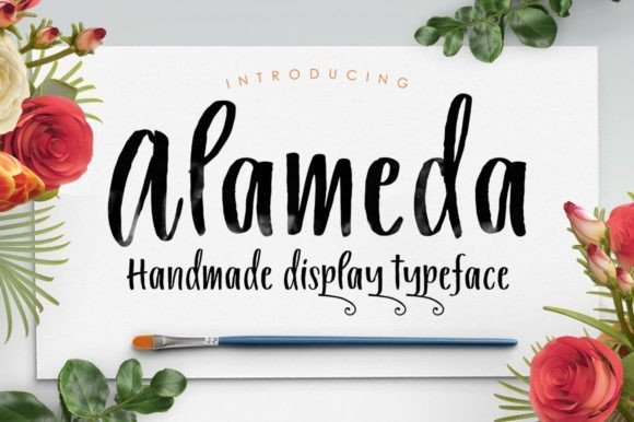 Alameda Font - Featured Image