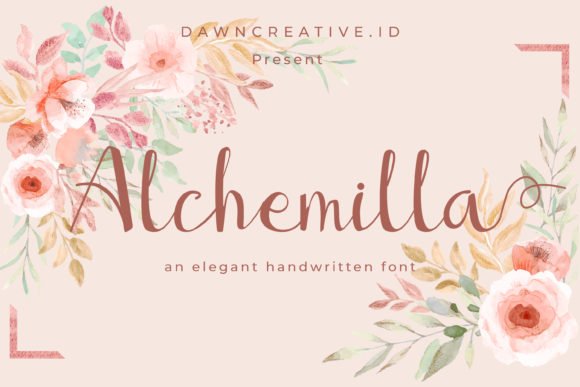 Alchemilla Font - Featured Image
