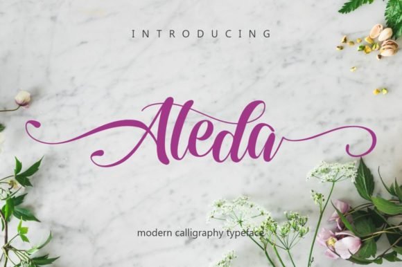 Aleda Font - Featured Image