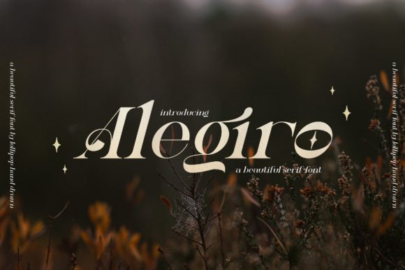 Alegiro Font - Featured Image