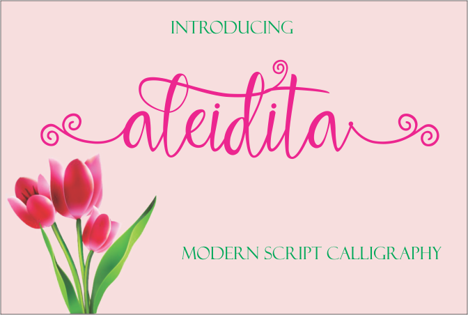 Aleidita Font - Featured Image
