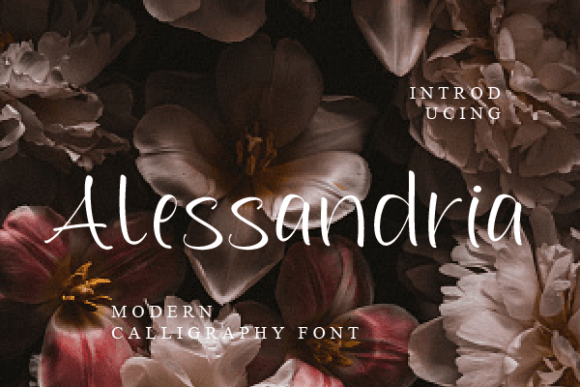 Alessandria Font - Featured Image