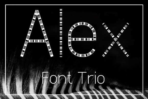 Alex Font - Featured Image