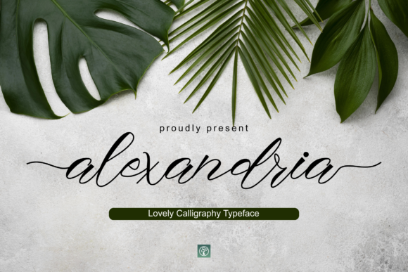 Alexandria Font - Featured Image