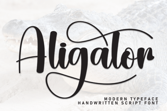 Aligator Font - Featured Image