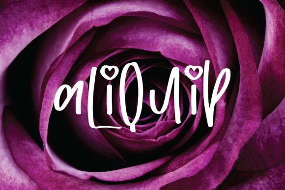 Aliquip Font - Featured Image