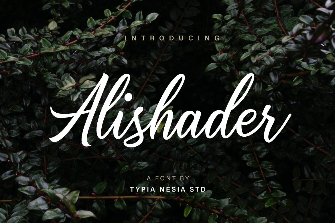 Alishader Font - Featured Image