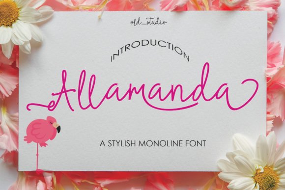 Allamanda Font - Featured Image
