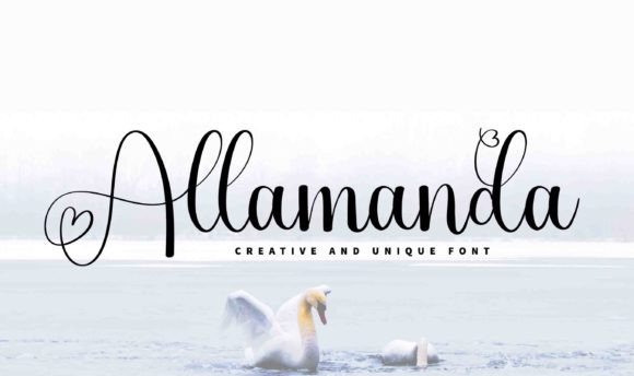 Allamanda Font - Featured Image
