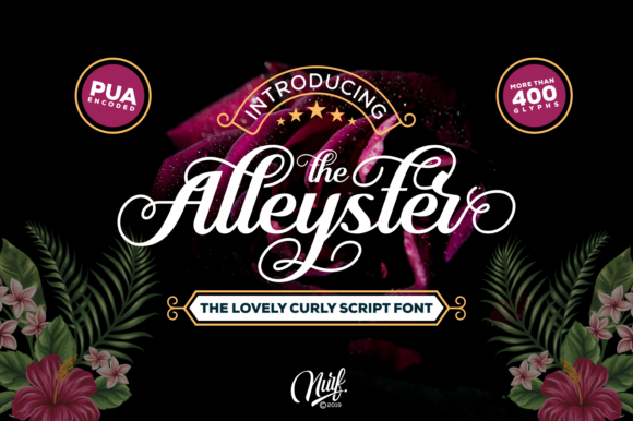 Alleyster Font - Featured Image