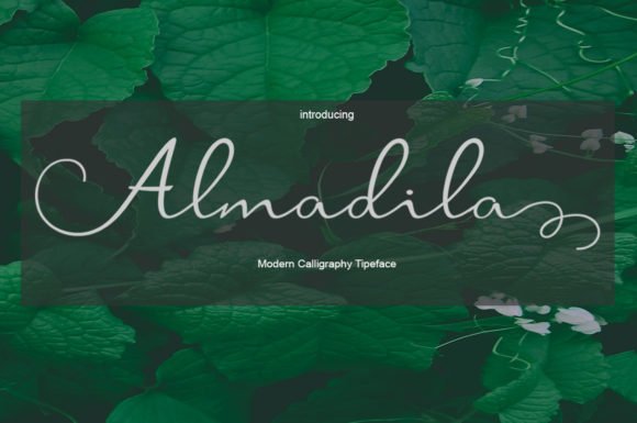 Almadila Font - Featured Image
