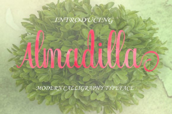 Almadilla Font - Featured Image