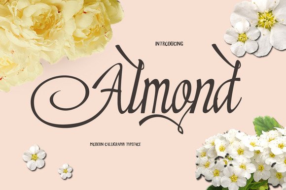Almond Font - Featured Image