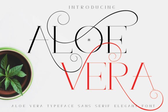 Aloe Vera Font - Featured Image