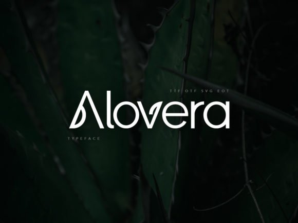 Alovera Font - Featured Image
