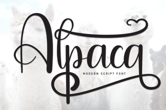 Alpaca Font - Featured Image