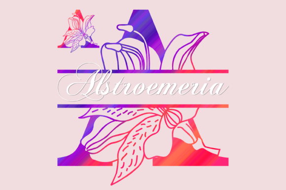 Alstroemeria Split Font - Featured Image