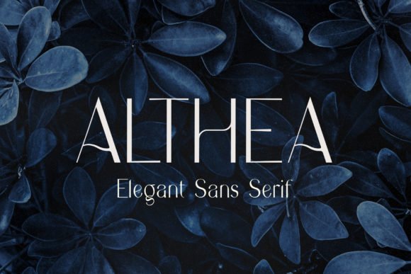 Althea Font - Featured Image