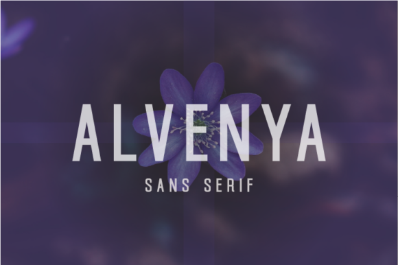 Alvenya Font - Featured Image