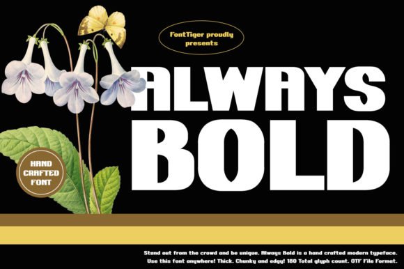 Always Bold Font - Featured Image