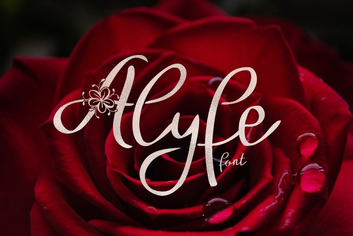 Alyfe Font - Featured Image