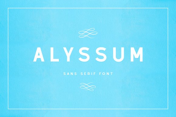 Alyssum Font - Featured Image