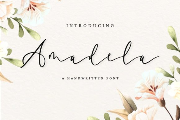 Amadela Font - Featured Image