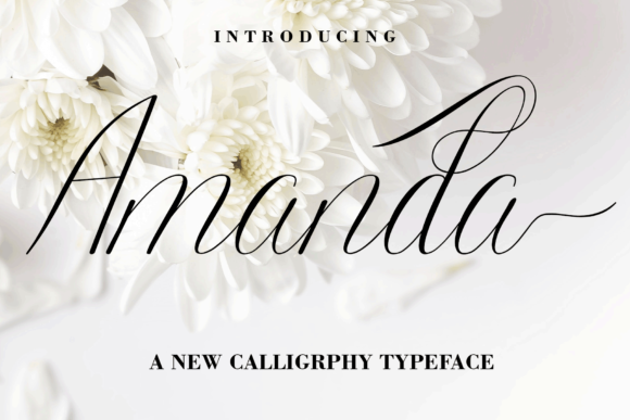 Amanda Font - Featured Image