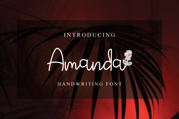 Amanda Font - Featured Image