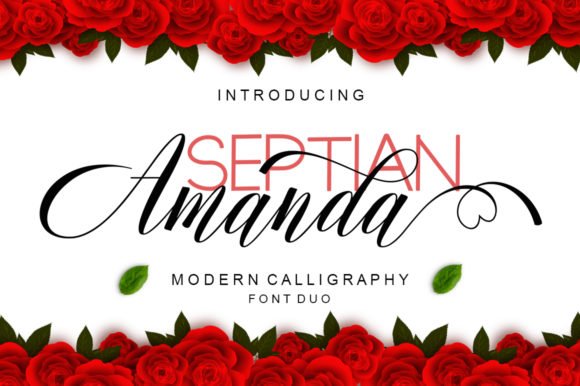 Amanda Font - Featured Image
