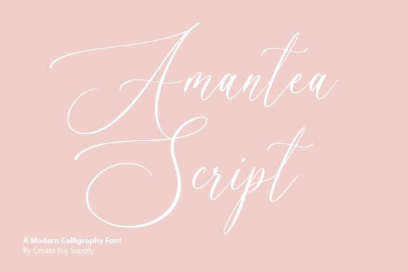 Amantea Script Font - Featured Image