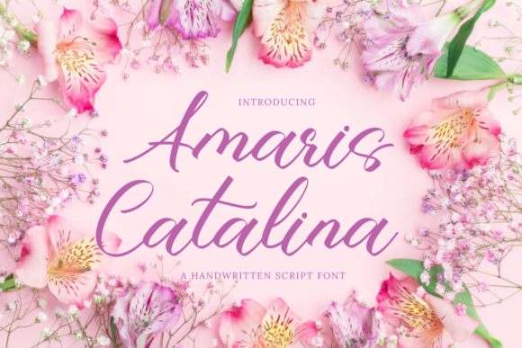Amaris Catalina Font - Featured Image