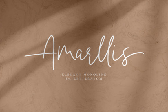 Amarllis Font - Featured Image