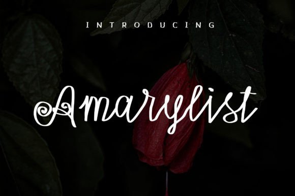 Amarylist Font - Featured Image