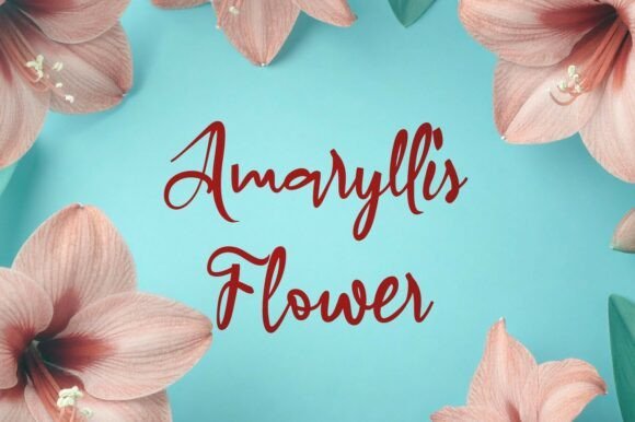 Amaryllis Flower Font - Featured Image