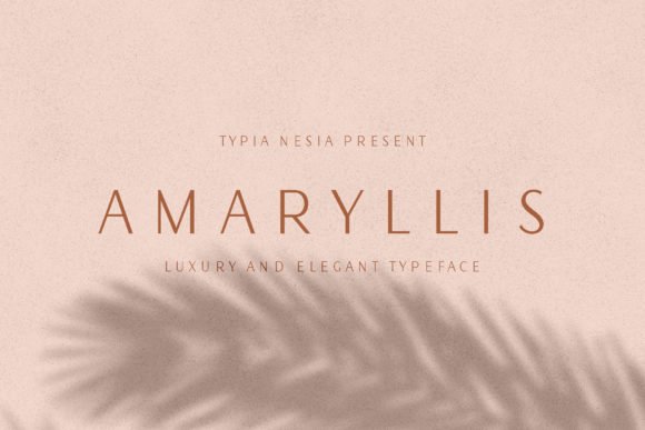 Amaryllis Font - Featured Image