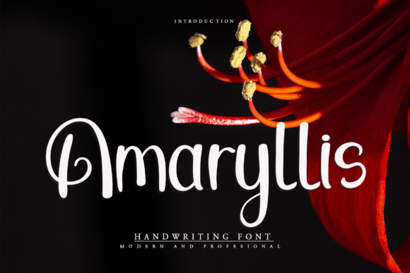 Amaryllis Font - Featured Image
